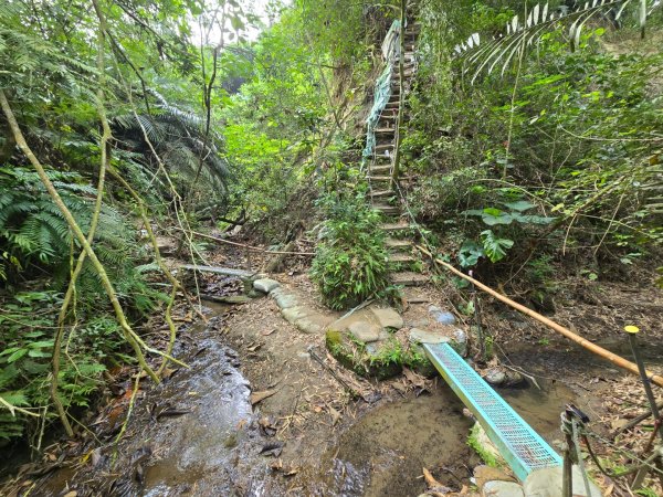 新化林場後山步道2776958