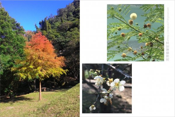 溪洲山登山口-新溪洲山-石門水庫897634