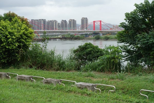 華中河濱公園1124171