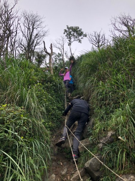 絕美抹茶山“聖母登山步道” 628987