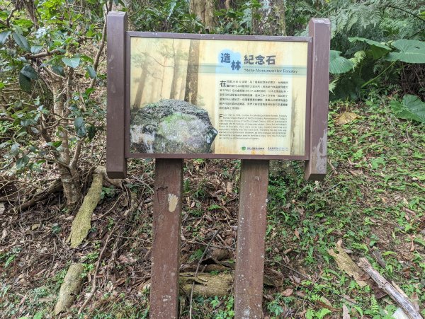 【百大必訪步道】東滿步道1520742