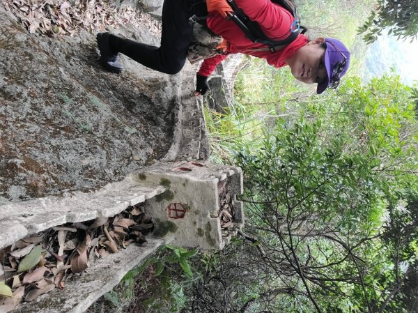 小百岳大崙頭山478m＆鯉魚山.鯉魚山東峰2060072