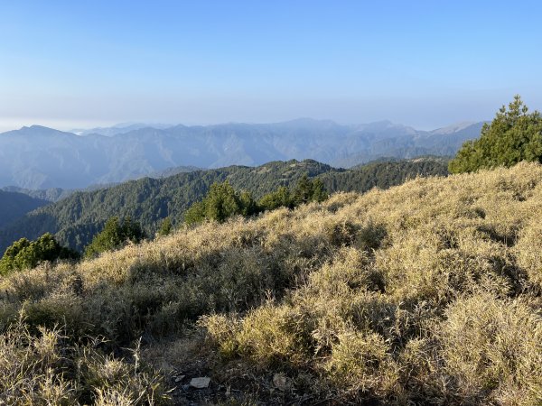 【奇萊東稜D2】磐石山、太魯閣大山與極品中級山2105000