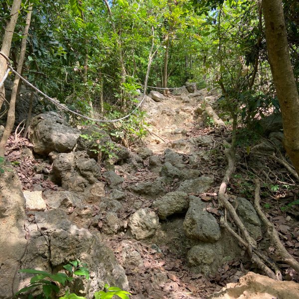 柴山，一年四季3085747