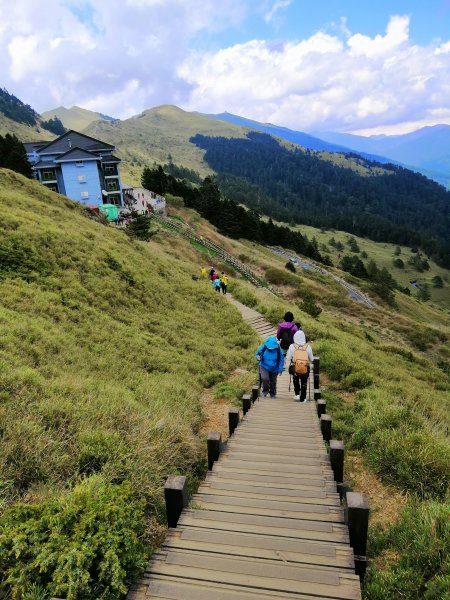 百岳賞花嘉年華。編號35百岳~合歡東峰749701
