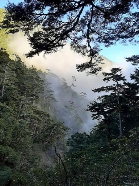 冰霜嘉明湖876728