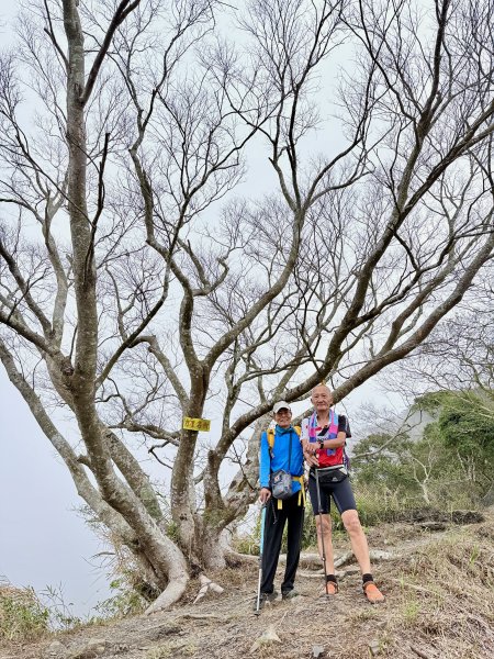 大漢林道登山趣(力里山.具馬奴山.崁頭窩山)  2026.3.283028044