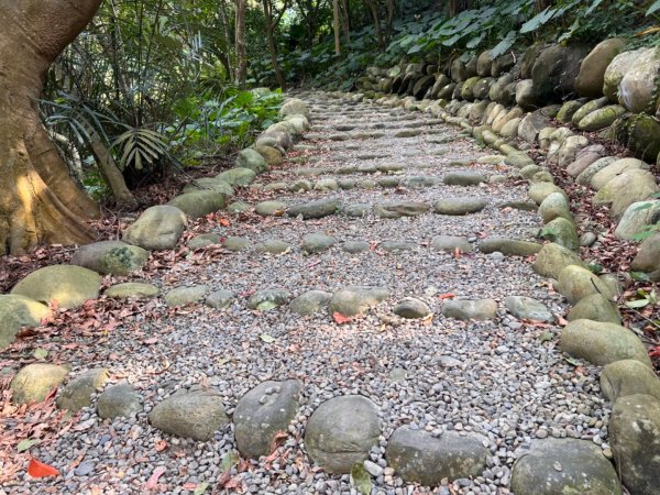 北車-桃園-齋明寺-自行車道-中庄調整池-七張-月眉2684822