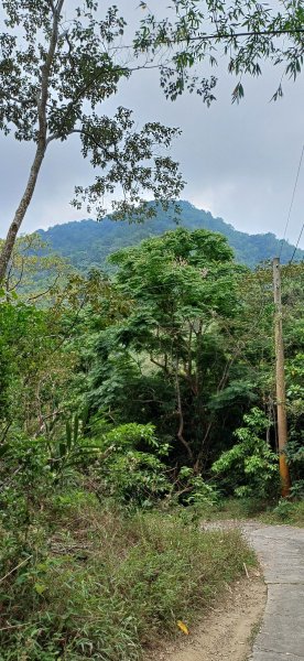 白雲山.高雄甲仙2770669