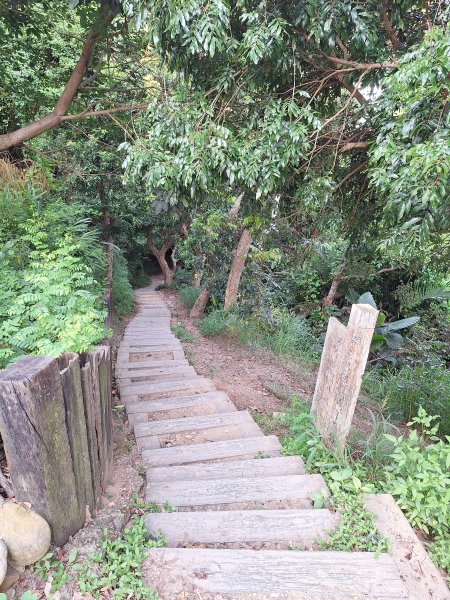 桃源里森林步道+龍鳳谷步道+坑子內山202509062880233