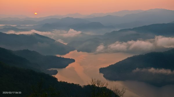 翡翠水庫壩頂&士林官邸鬱金香 2/172713970