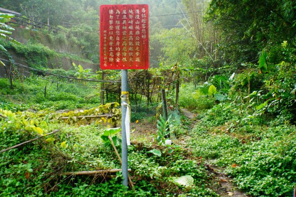 新北 平溪 峰頭尖3131348