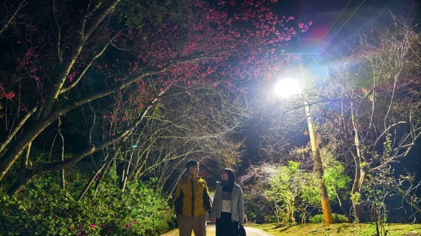 【台灣健行】春艷 • 寶山二集團2698539