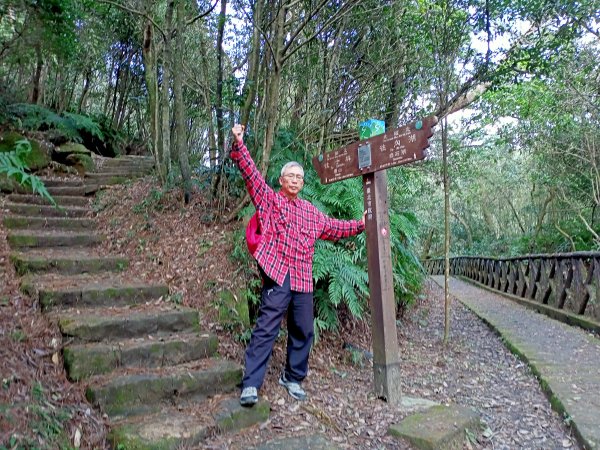 【臺北大縱走 4】大崙頭山北面步道1249607