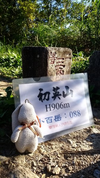 230707-小百岳#088初音山。美美兔賞鯨後回家懶得換裝，換個心情加雙鞋襪，一個人爬山去。2222739