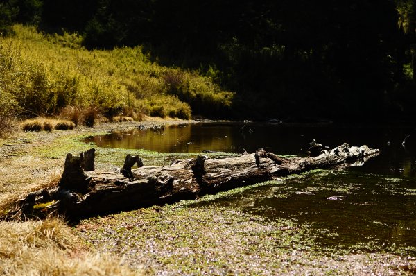 武法奈尾山天巒池872506