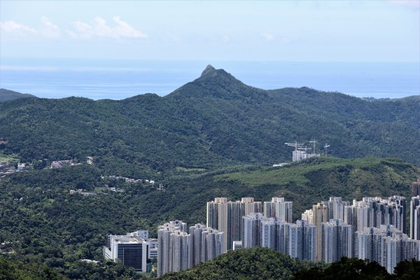 HK - 鷓鴣山1044400