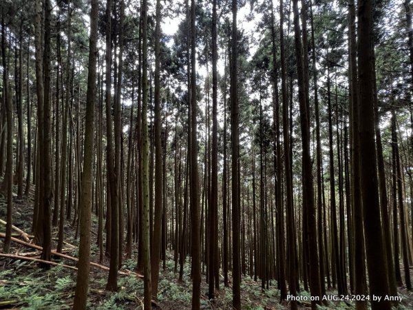 民都有山就是漂亮的夏天冷氣房2582244