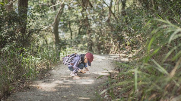 橫山步道-四歲小樂的第35座小百岳1272362
