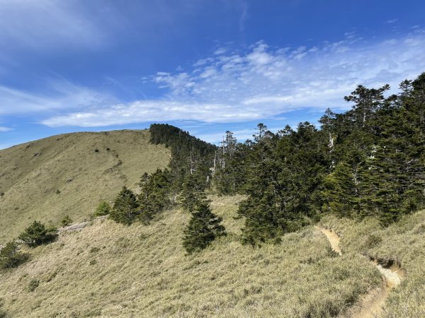 合歡北、西峰(三訪)113.04.212492789