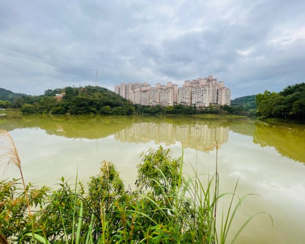 雙湖賞櫻🌸2709098