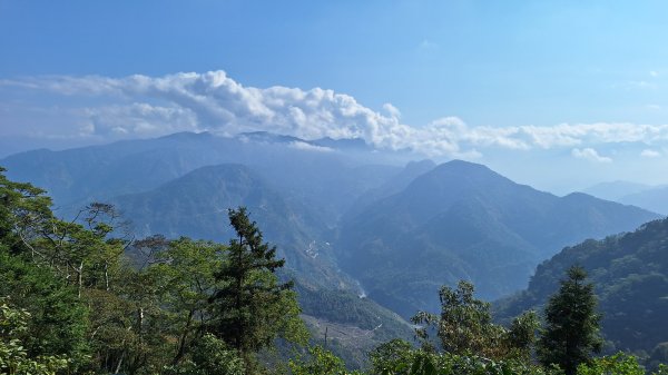 雲嘉大尖山(挑筍古道上)11502093045222