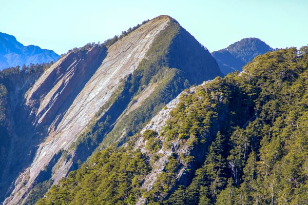 大小劍-油婆蘭全紀錄2674186