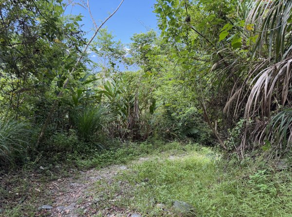 [漫遊縱谷 愛在花東] 2025_1018 米棧古道(第二回)2921157