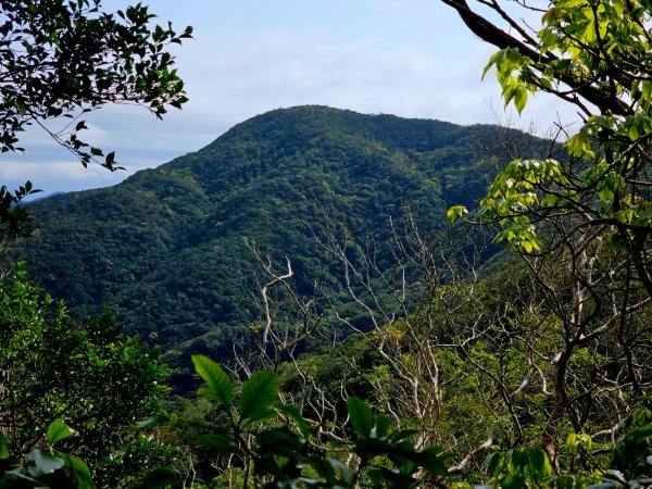 女仍山-小百岳#79-屏東縣獅子鄉2732109