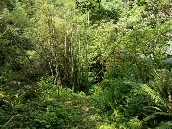 平溪區番子坑古步道O型3042610