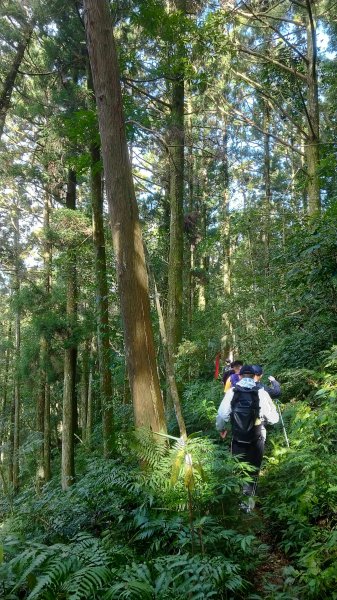 雲森瀑布 + 組合山 490722