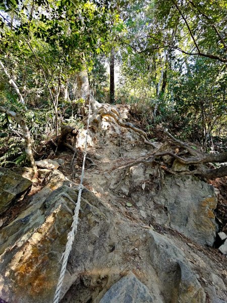 唐麻丹山-谷關七雄(老么)2991570