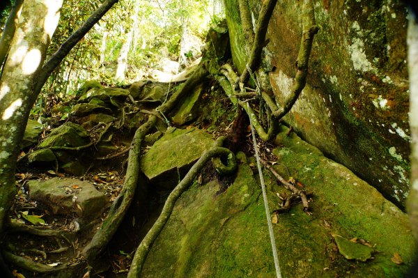 苗栗 南庄 光天高山、向天湖山3073685