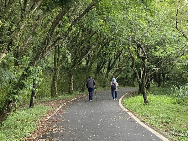 《走進竹子湖的清晨｜慢跑+美食＋泡湯享悠閒》