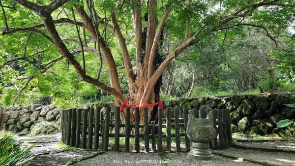 《雲林》望好望角｜石壁山嘉南雲峰步道(中側登山口）202506072805450