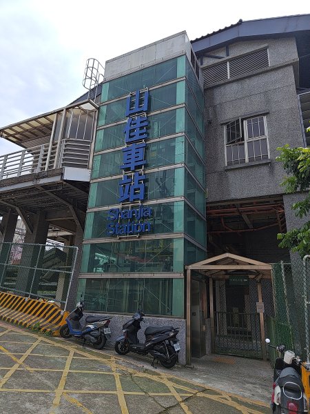 20260321大棟山系-百年大榕樹段3019061