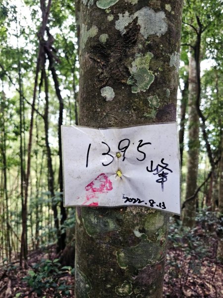 油羅山-2025森遊竹縣皮皮獅探險隊2910109