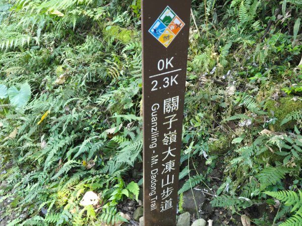 九龍山連走大凍山2955727