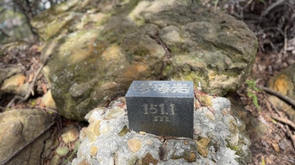 20250215新北投大師岩軍艦岩2718189