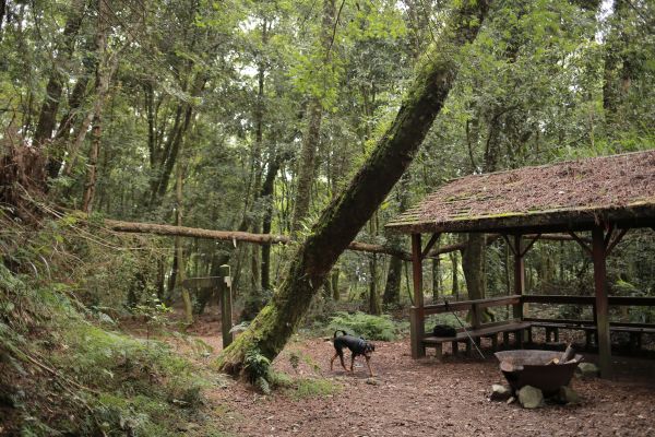 谷關七雄：新山馬崙山178391