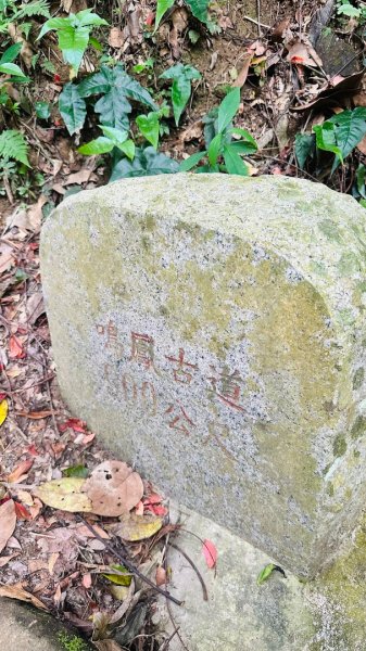 1140419鳴鳳古道2765871