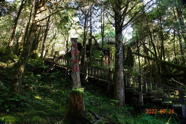 宜蘭 大同 太平山森林遊樂區1743647