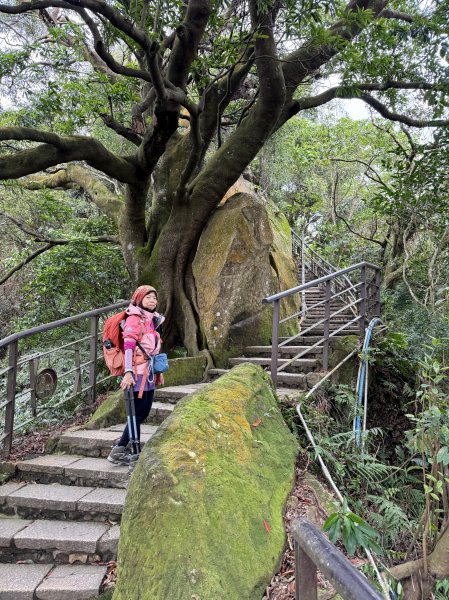 南港山.象山.四獸山-202503172770535