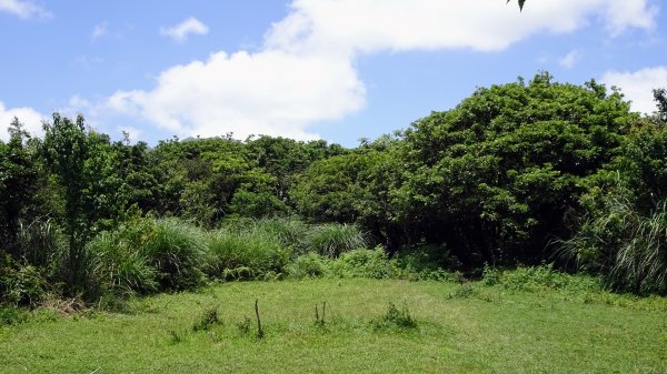 竹篙嶺古道,瑪礁古道2163059