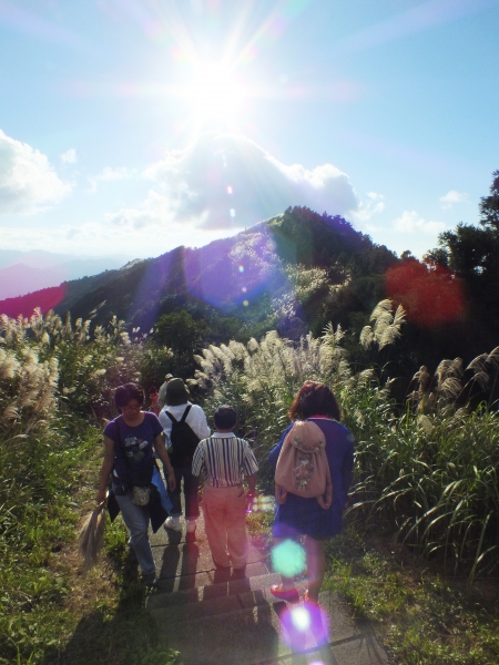 步道小旅行-賞芒聖地五分山3878