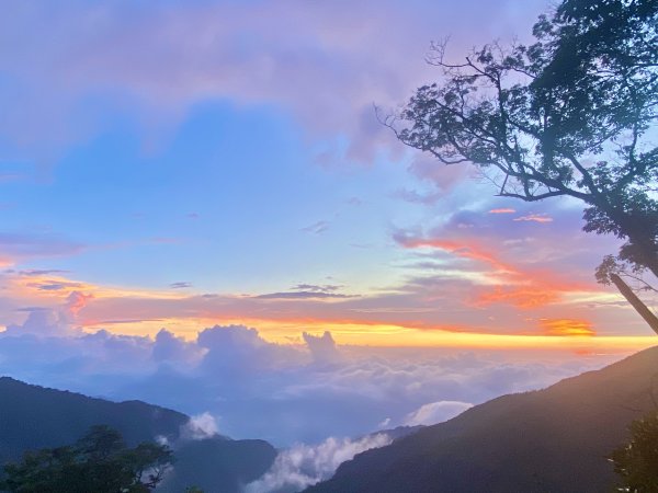 橫嶺山步道泡茶趣    2024/7/42547127