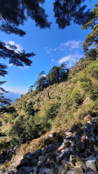 玉山前峰2402075