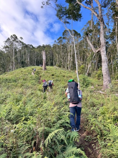 2025.11.30 西巒大山2952294