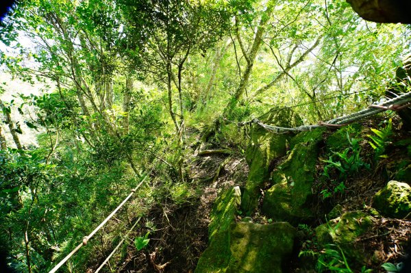 苗栗 卓蘭 大克山3078125
