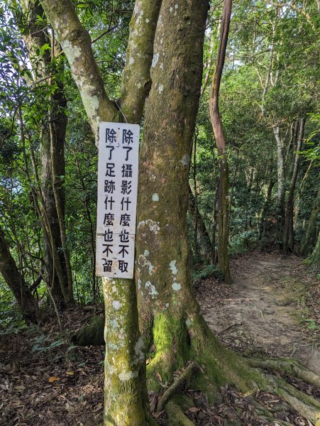 苗栗小百岳-⛰仙山登山步道2192859